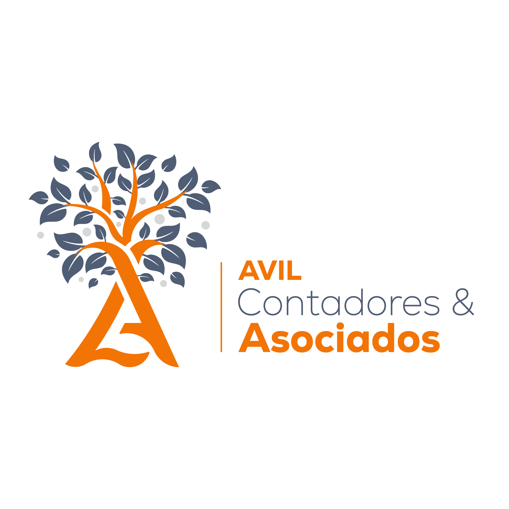 Avil Contadores y Asociados
